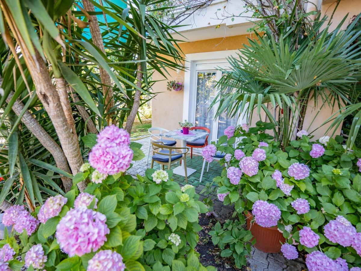 Apartments Villa Rudi Bibinje Eksteriør bilde